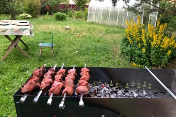 Шашлык