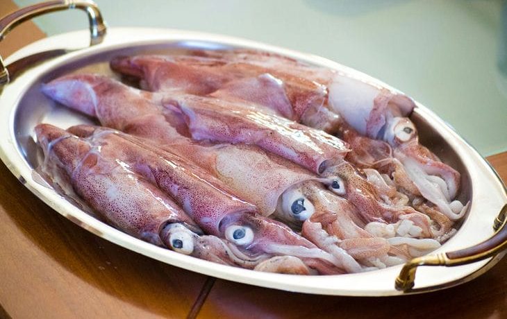 Кальмары