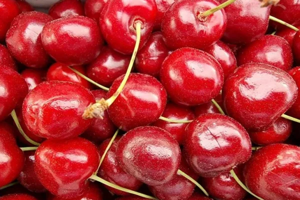 Ягоды