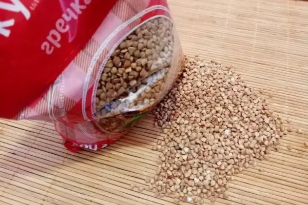каша