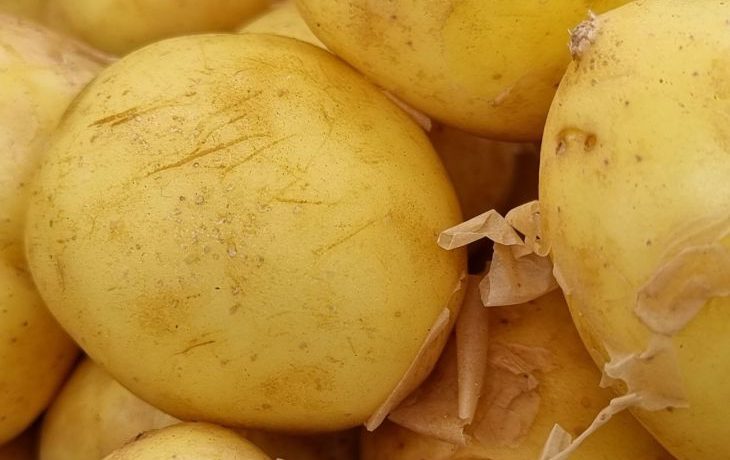 Картофель
