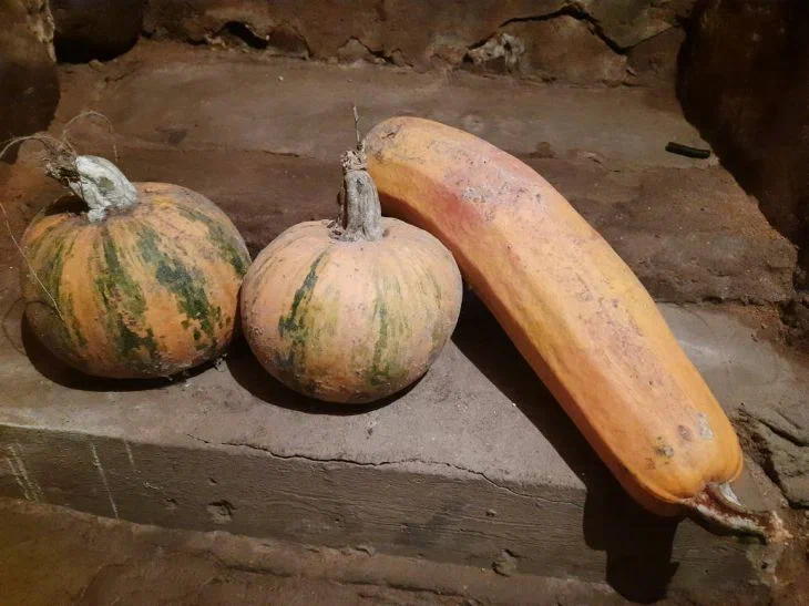 Тыквы