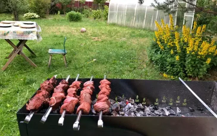 Шашлык