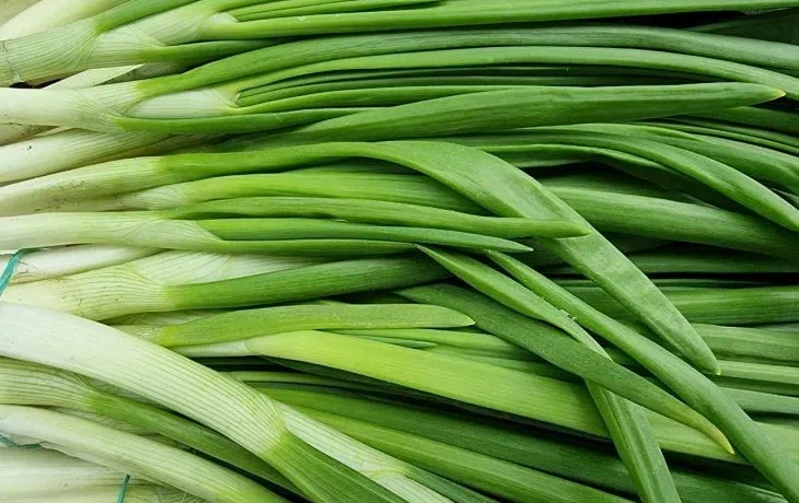 Лук