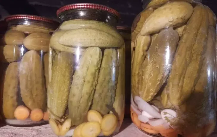 закатки