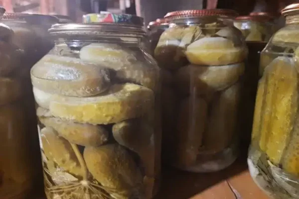 Заготовки