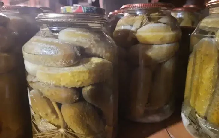 Заготовки
