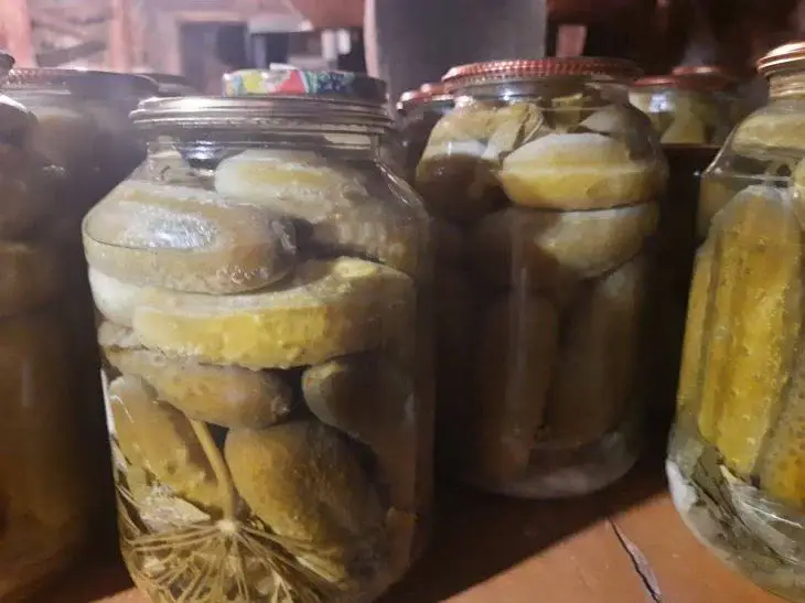 Заготовки